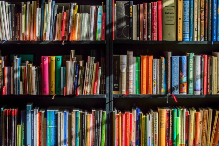 OIDEL publishes the 6th edition of the “Selective Bibliography on the Right to Education and Education Policy”