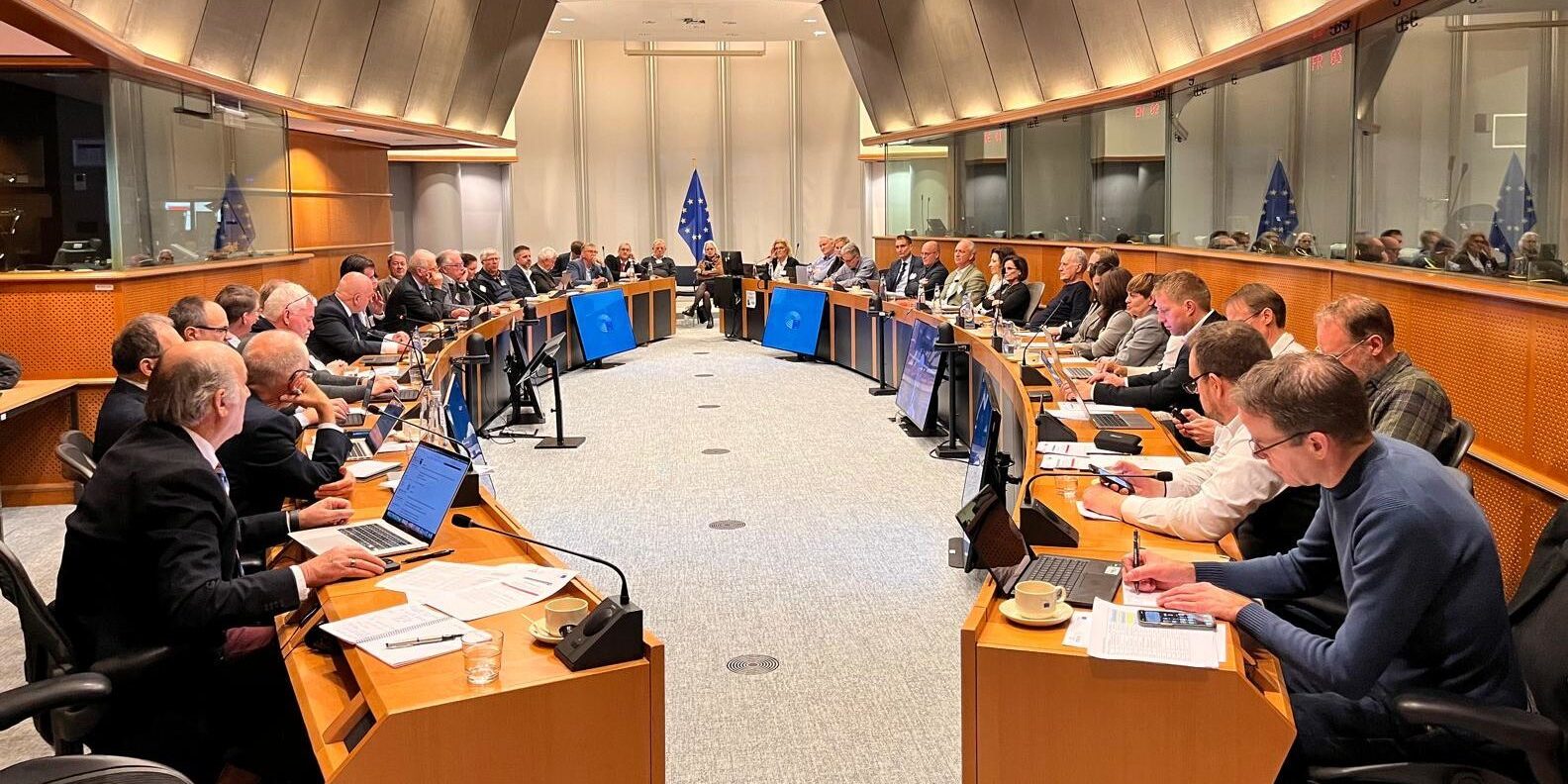 EACE – Discussion